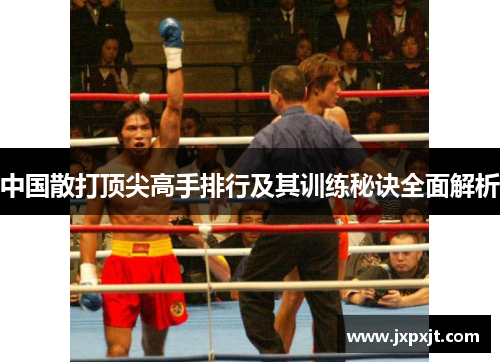 中国散打顶尖高手排行及其训练秘诀全面解析